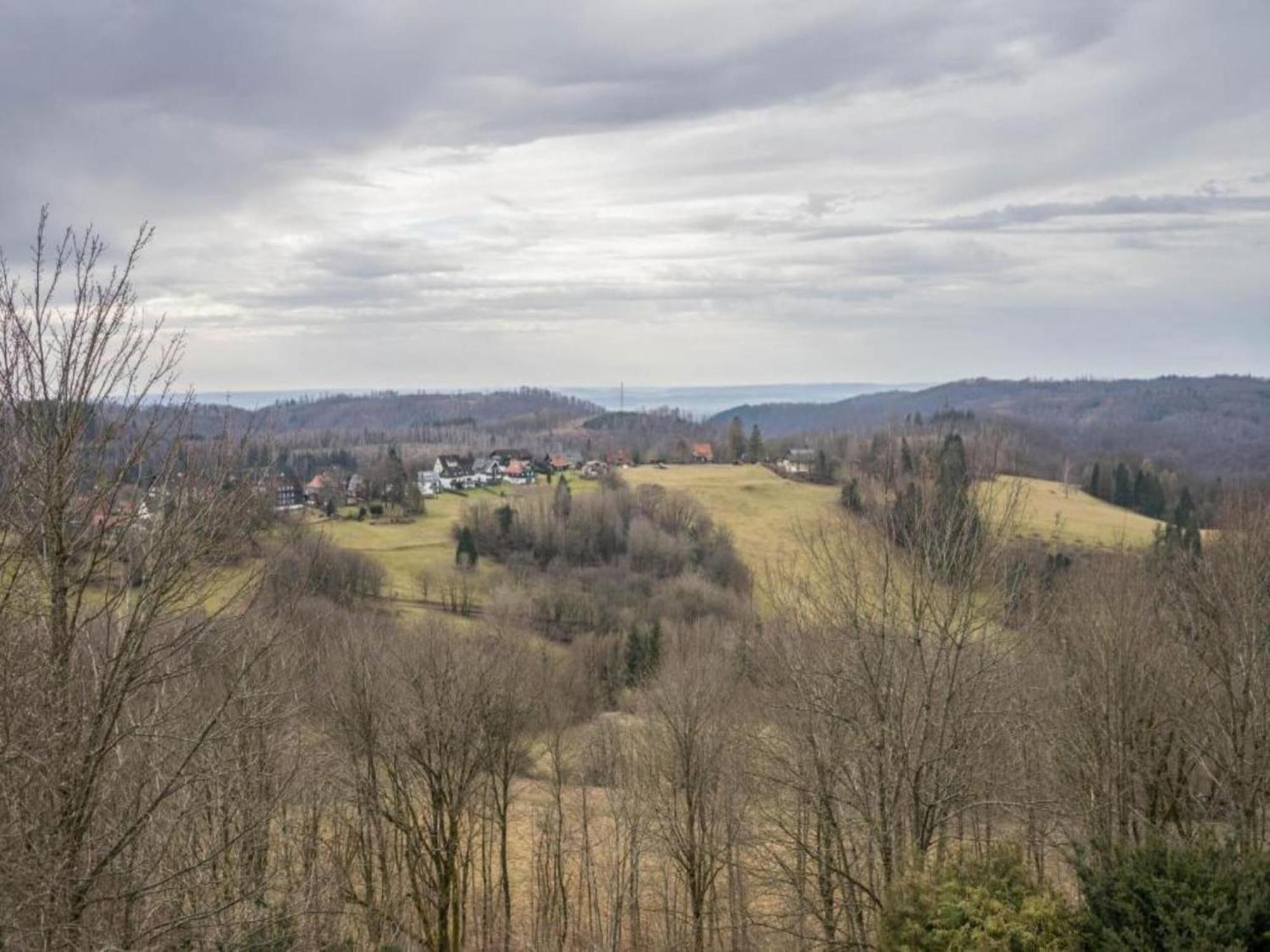 Cozy Apartment In Braunlage Near Forest Hohegeiß Eksteriør billede