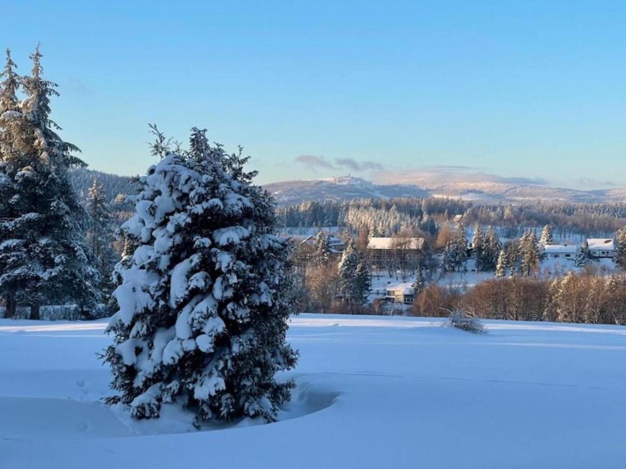 Cozy Apartment In Braunlage Near Forest Hohegeiß Eksteriør billede