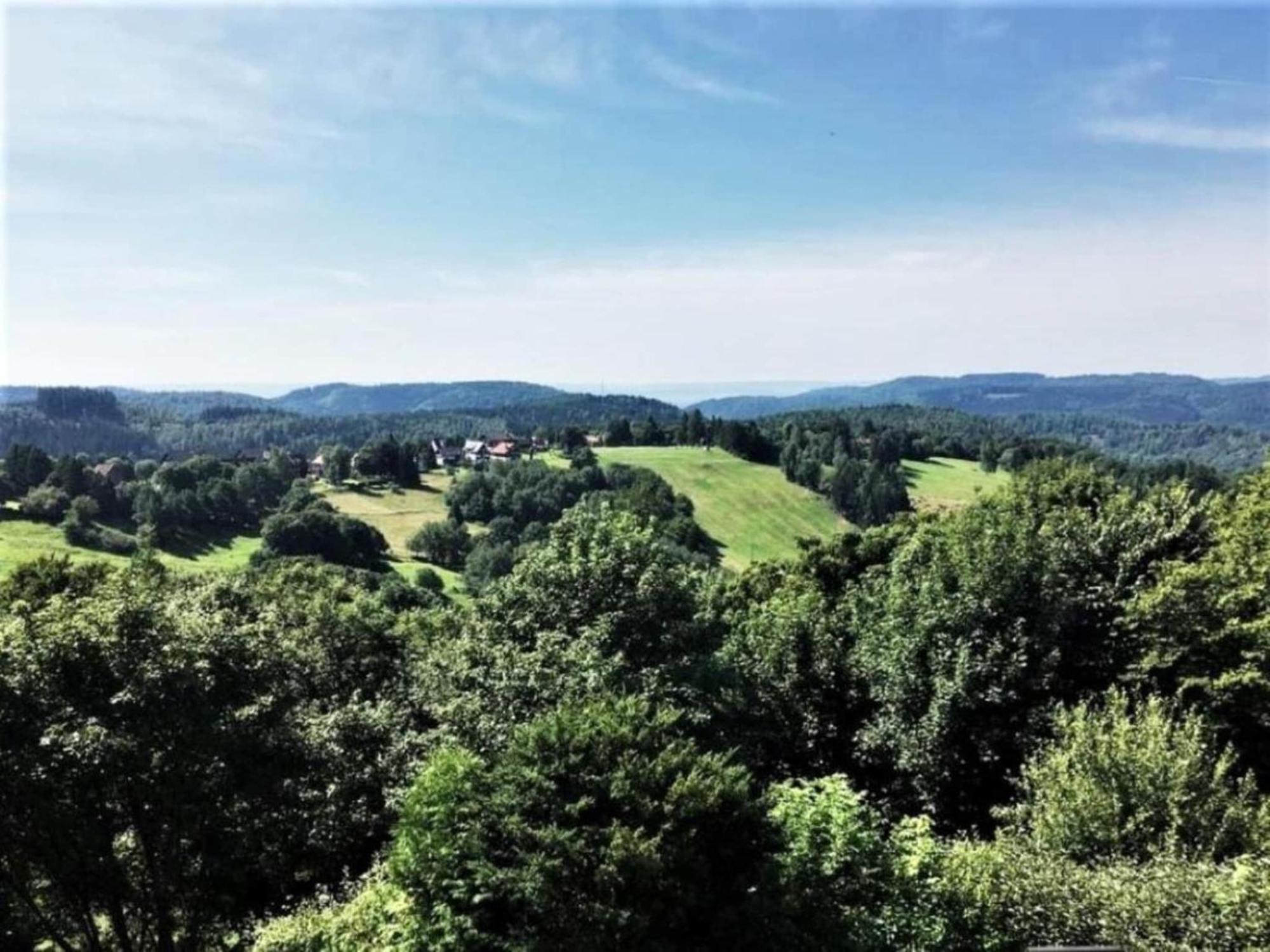Cozy Apartment In Braunlage Near Forest Hohegeiß Eksteriør billede