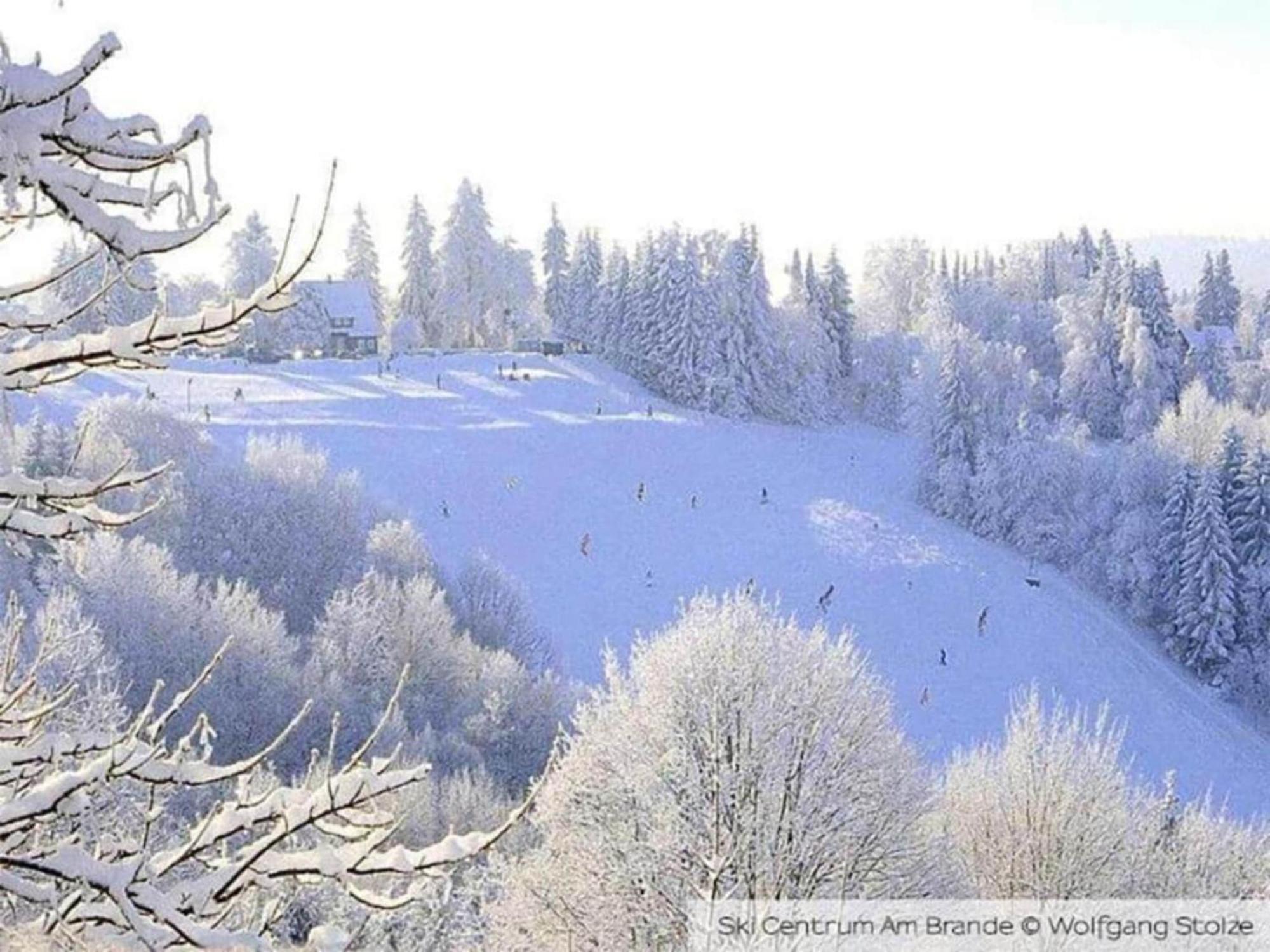 Cozy Apartment In Braunlage Near Forest Hohegeiß Eksteriør billede