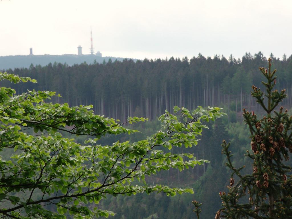 Cozy Apartment In Braunlage Near Forest Hohegeiß Eksteriør billede